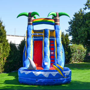 wholesale inflatable water shark slide with detachable pool for sale with rainbow