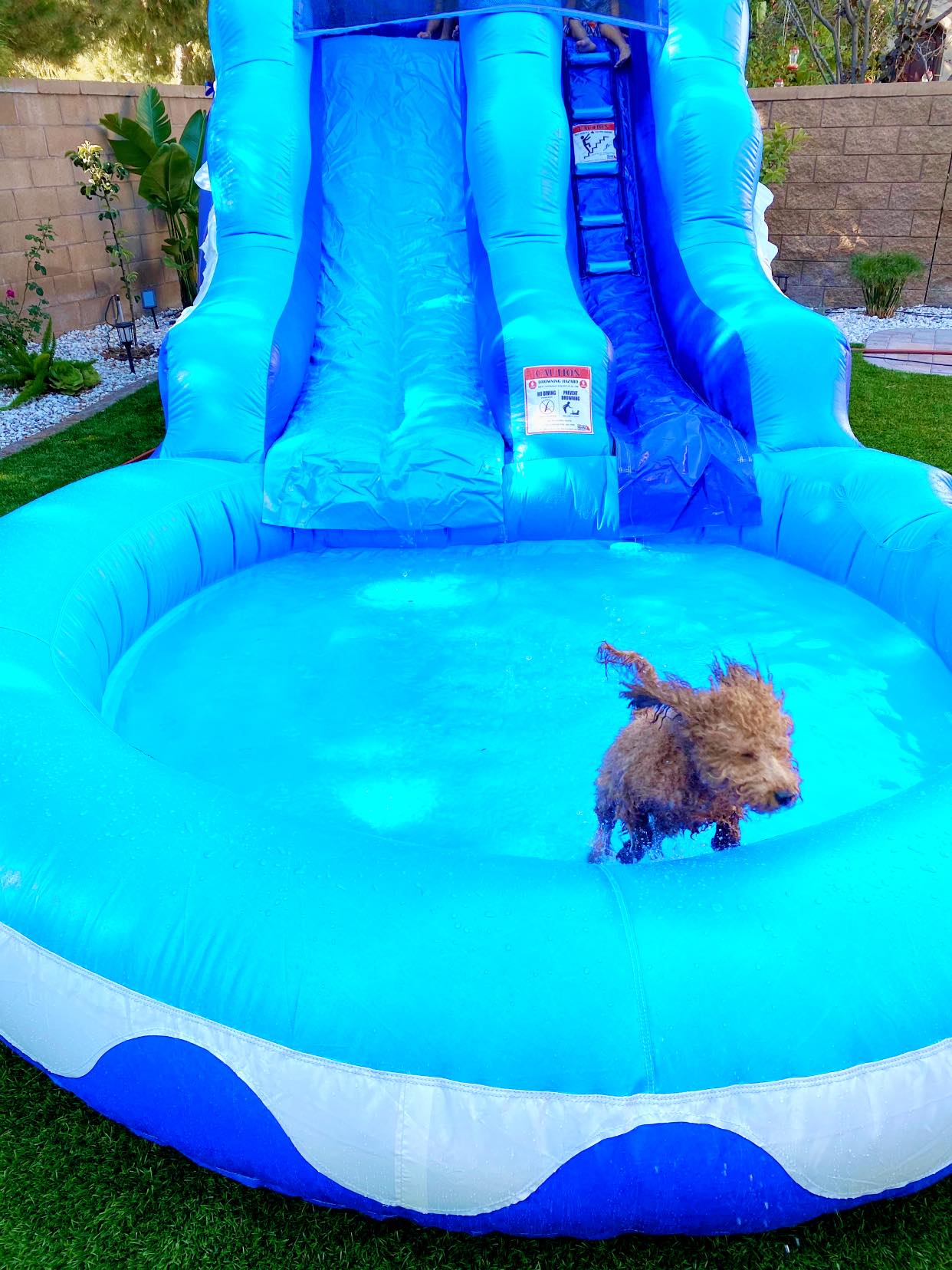 colorful bouncy house castle