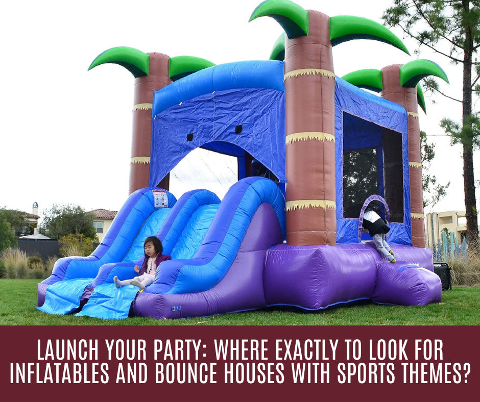 Top grade cheap bounce houses