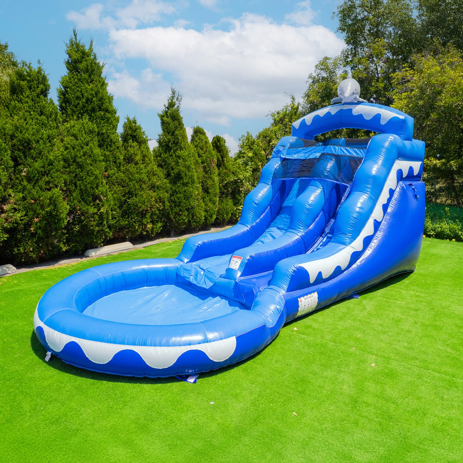 13' Dolphin Water Slide with Pool