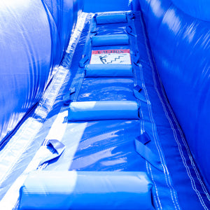 13' Dolphin Water Slide with Pool