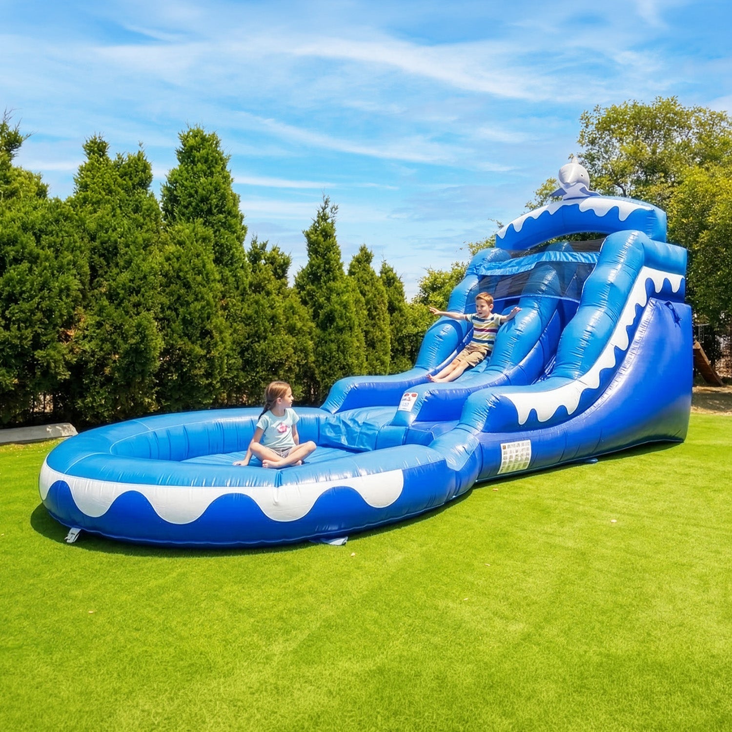 13' Dolphin Water Slide with Pool β commercial inflatable water slide