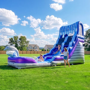 Dolphin 16' Water Slide with detachable pool