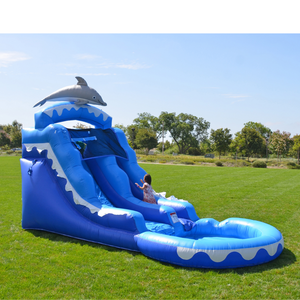 13' Dolphin Water Slide with Pool