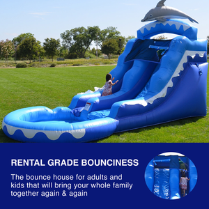 Dolphin 13’ Water Slide with Pool