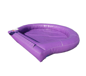 Purple Pool Attachment for Dual Slides Combo